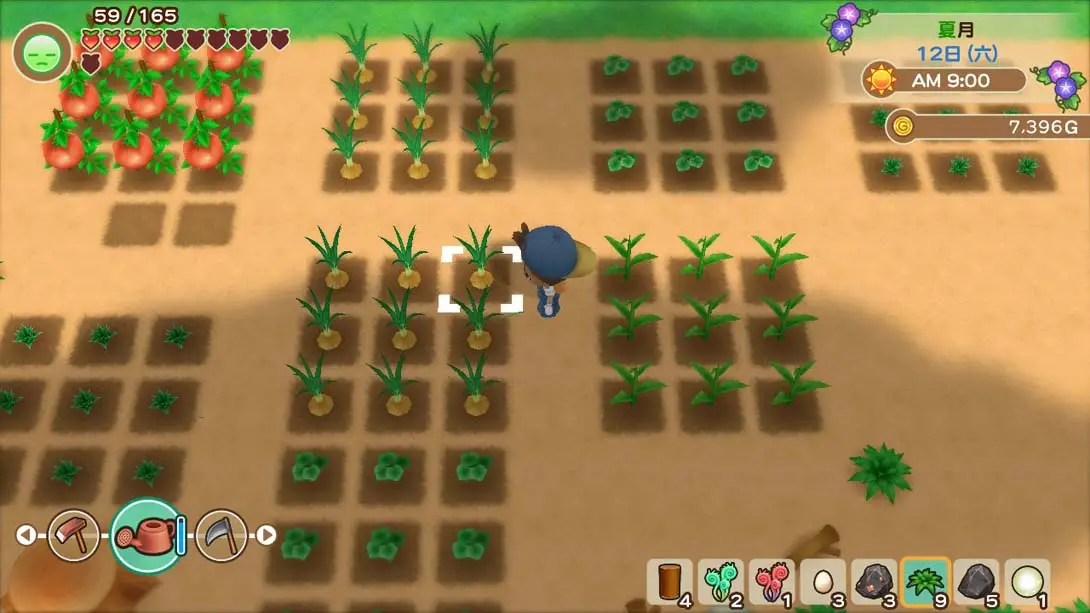 图片[3]-牧场物语：重聚矿石镇 所有道具初始存档-极速数码电玩