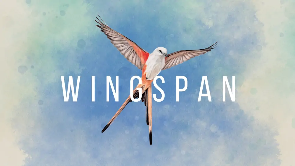 展翅翱翔|Wingspan中文-极速数码电玩