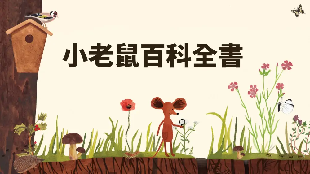 小老鼠的百科全书|Little Mouse’s Encyclopedia中文-极速数码电玩