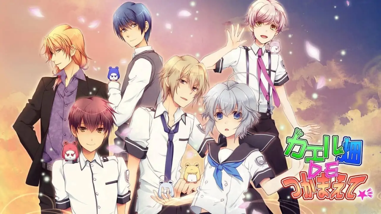 蛙畑奇事|Kaeru Batake DE Tsukamaete-极速数码电玩