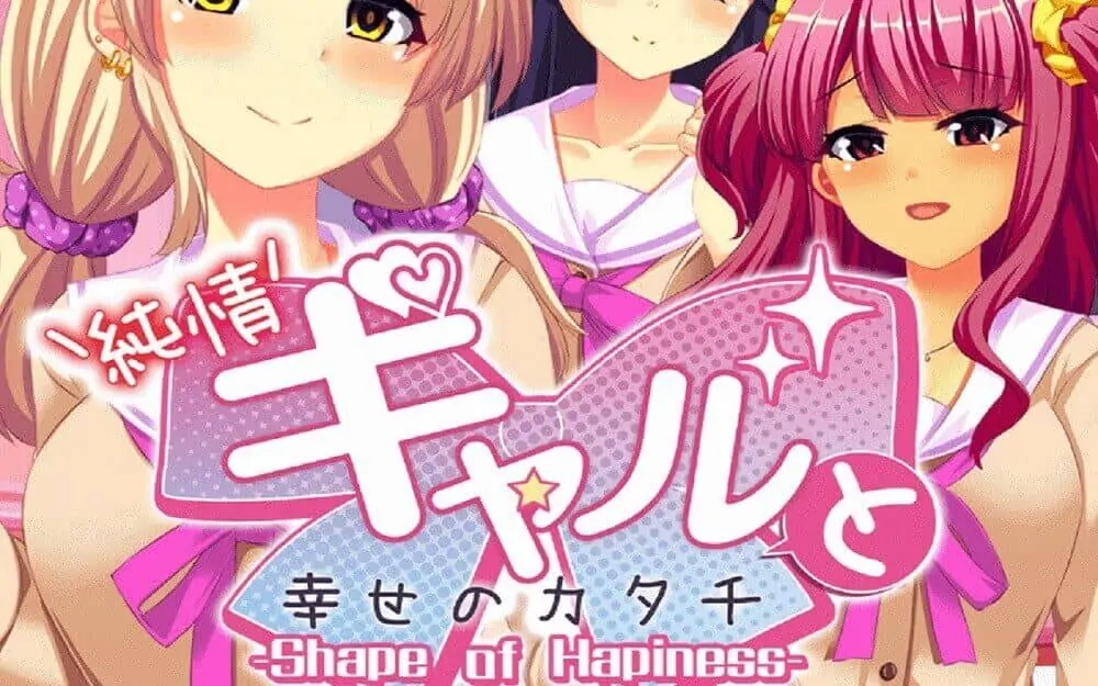 纯情辣妹与幸福的样貌|Junjou Gal to Shiawase no Katachi-极速数码电玩