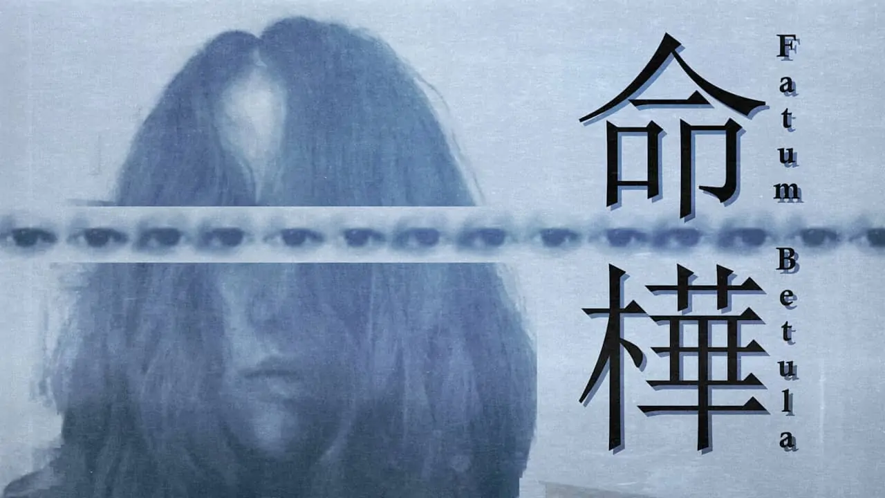 命桦|Fatum Betula-极速数码电玩