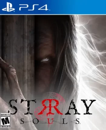 流浪的灵魂|Stray Souls中文-极速数码电玩