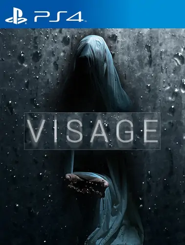 面容|Visage中文-极速数码电玩