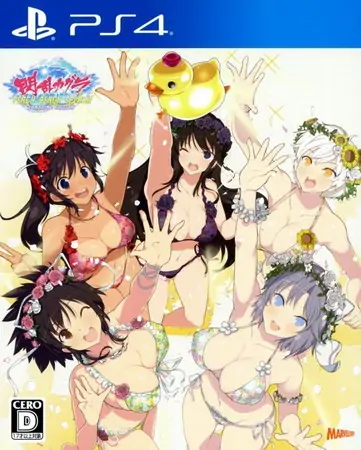 闪乱神乐：沙滩戏水|Senran Kagura: Peach Beach Splash中文-极速数码电玩