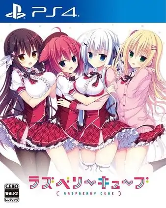 树莓立方体|Raspberry Cube日文-极速数码电玩