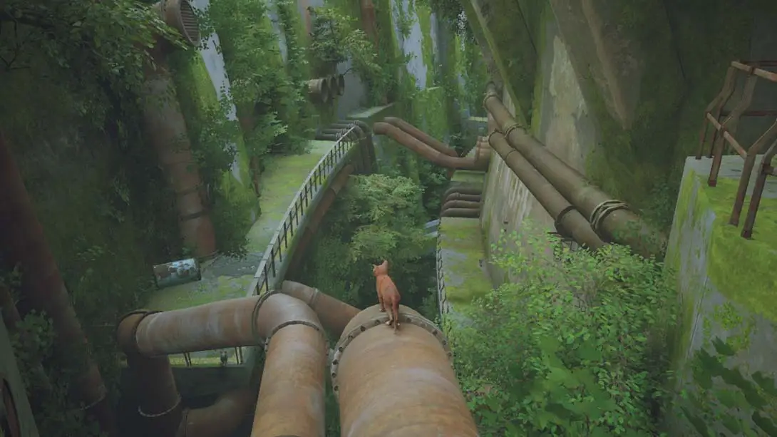 图片[3]-流浪猫 迷失 60帧画质 MOD-极速数码电玩