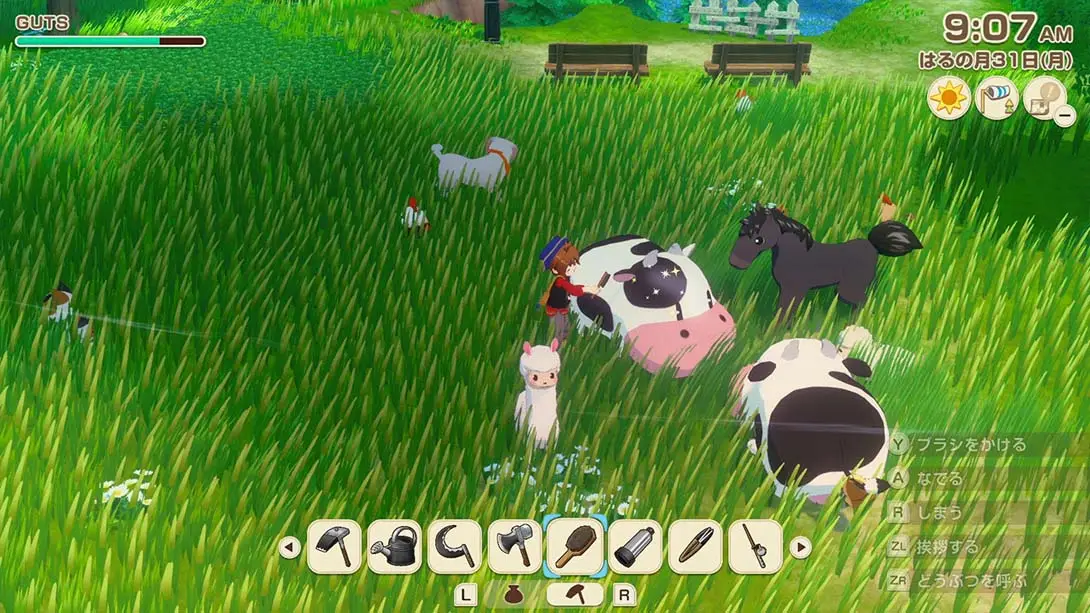 图片[5]-牧场物语 风之集会 v1.0.3 金手指-极速数码电玩