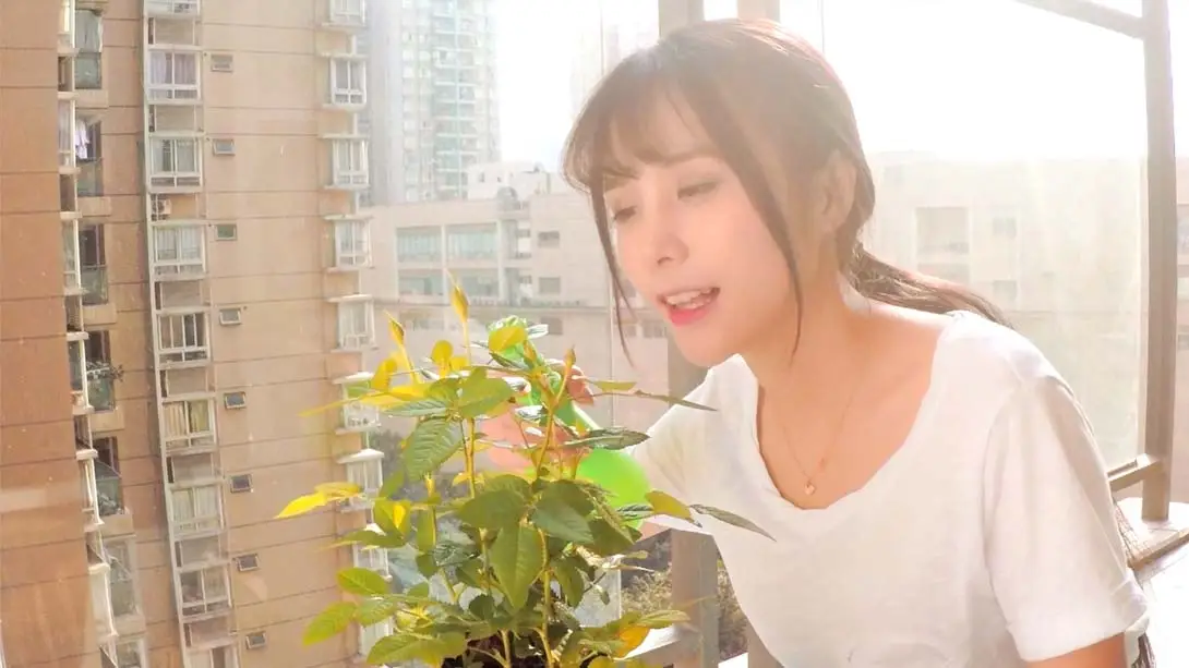 图片[3]-女神驾到：夏日甜心 v1.0.0 金手指-极速数码电玩